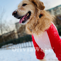 New good soft cotton cotton OliviaWear Golden retriever Big dog Large dog cartoon sweater Pet clothes