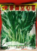 Thai cabbage seeds (500 g)Imported green stem willow leaf cabbage heat resistance and rain resistance High yield
