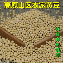 Guizhou farmhouse small soybean plateau mountain area planting small soybean soybean bean sprouts soybean bean sprouts soybean milk 500g