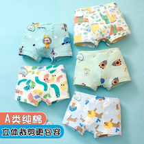 Total Cotton Age Childrens Underwear Boy Pure Cotton Flat Corner Pants Head Baby Four Corner Students CUHK Boy Shorts Shorts