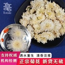 Chinese Herbal Medicine White Chrysanthemum Bulk 500g Yellow Mountain New Cargo Grand White Chrysanthemum Flower Tea Gonchamomile