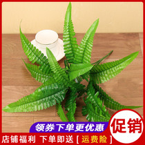 Simulation Persian Leaf Persian Grass Fern Plant Wedding Celebration Green Planting Engineering Background Wall Decorative accessories Grass Fake Flowers