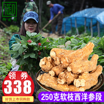 (Soft branch American ginseng segment 250g) American Ginseng leaf ginseng can cut American ginseng slices