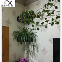 Type wall stickers decorative balcony green wall hanging wall outdoor wall hanging property flower rack hanging wall shelf indoor E
