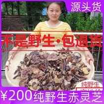 ye sheng da Ganoderma lucidum pruning of Ganoderma lucidum shank Ganoderma lucidum 7-day return 1kg of 500g