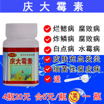 Gentamicin fish with fish medicine ornamental koi goldfish special medicine to treat rotten body fried scaly fin white spots