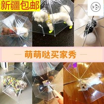Satsuma dog special umbrella Pet umbrella Dog walking umbrella Large dog raincoat rain shoes Big dog Teddy bear