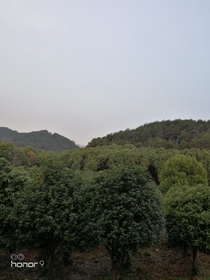 宝贝收到和图片一样，做活动买的很划算，宝贝比图片好看，我是买着放着的，先好评，等以后穿了在追评。