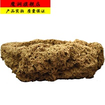 Absorbing stone water Stone original stone natural flowerpot calamus succulent plant micro-landscape stone trough flowerpot