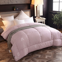 Soy winter protein Antarctic air conditioning double cotton polyester modified thickened washed chemical fiber to keep warm quilt core