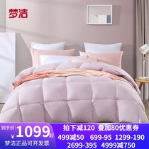 Dreamwork spun down by 90% goose down by thickened winter quilt Double thick quilt in winter antibacterial quilt core 4 catties 5 catty