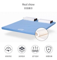 American Magic Song Reverie Thai Latex Mattress Latex Pad 5CM Horizontal striped quilted cotton