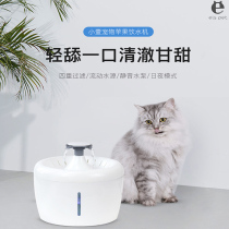 Small one new pet apple water dispenser cat dog electric water dispenser circulating water flow pet automatic water feeding