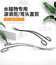 Water grass tweezers scissors grass cylinder straight tweezers bending tweezers straight scissors bending shear wave scissors stainless steel carbon black carbon black