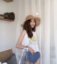 South Koreas new swimsuit checkered rim gathered size chest bikini bikini split swimsuit women