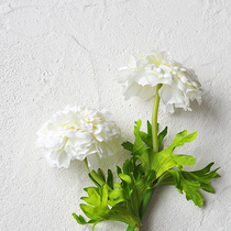 (Nine Thoughts) emulated flower single head Bailiju white wedding hand held flower business decoration flower arrangement silk flower F610