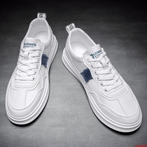 Small White Shoes Men Genuine Leather Thick Bottom Boomer Men Casual Shoes Subtidal Shoes Inside heightening Breathable Soft-bottom White Board Shoes Man