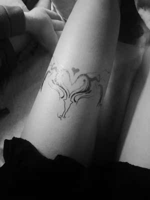 嘻嘻嘻好看 嘻嘻嘻好看