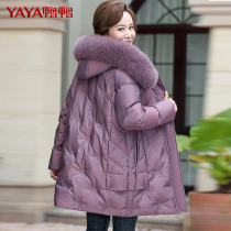 Duck Duck Mama Winter Clothing Duvet Duvet 2022 Winter New Cotton Clot Jacket Thick Middle Aged Older Cotton Padded Jacket