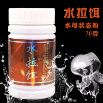 Water pull bait jellyfish state bait wild fishing black pit Silk King powder jellyfish powder master red worm mate fish bait fish