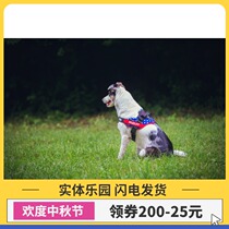 Sierra Pet German imported Julius k9 chest back explosion proof rushing skeleton traction comfort version series