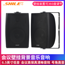 Lion Music BX105 2 Hi-fi speaker School office building public broadcasting speaker Wall-mounted conference room audio
