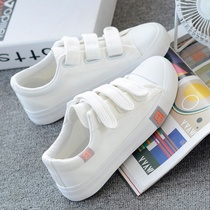 Shoes womens velcro student canvas shoes womens spring summer and autumn new womens shoes Korean version of sports white shoes non-slip board shoes