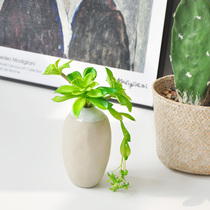 Simulation Multi Meat Fu Xiangjin and Tao Quality Small Bottle Composition Floral Art New Chinese desktop Decorative Pendulum art272