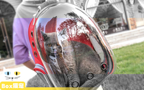 Cat bag space full transparent cabin backpack pet out portable breathable chest cat backpack Dog BackPack