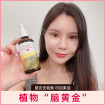 Czech Ancan Polynegy oral Inca oil plant Brain gold Brain brain Good memory 100ml