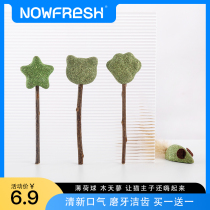 Cat Mint Ball Cat Toy Self hi Cat God Instrumental Pet Supplies Licks Licks Cat Sticks Resistant To Biting Kitty Toys