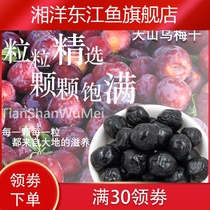 Big plum dried specialty 428g sweet and sour snacks