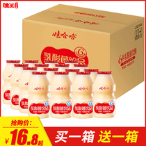 Wahaha Lactic acid bacteria milk 100ml Girls gift box whole box of original yogurt probiotics childrens breakfast drink