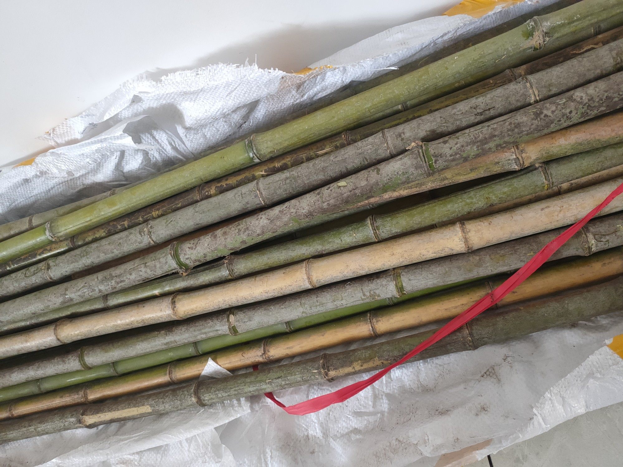 菜架竹杆棍菜竹子豆角黄瓜支植物爬藤架篱笆围栏菜园搭架竹竿2米