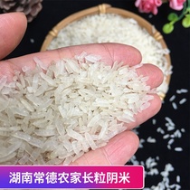 Changde Yin Mi Hunan Special Production Farmhouse Handmade Homemade Sticky Rice Frozen Rice Oil Tea Rice Moon Rice Rice