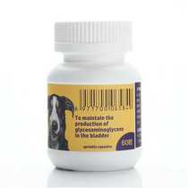 Wei He Baolu urinating the dog with liturgy and urinary tract urinary tract urinary tract urinalituria with urine and blood.