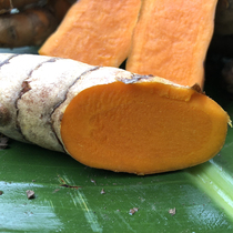 Vietnam variety specialty fresh turmeric 500g turmeric little finger Ginger Thai winter Yin Ghe cu curry ginger