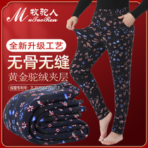 Middle-aged and elderly mother camel wool cotton pants female winter thickening plus velvet wear high waist northeast extra thick elderly warm pants
