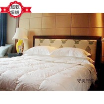 10% off five-star Intercontinental hotel large down quilt white goose down autumn and winter quilt spring and autumn quilt bounces back to keep warm