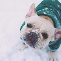 Postage freight make-up link