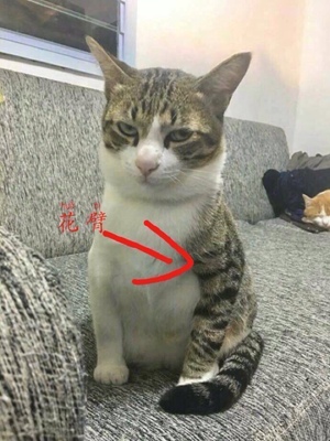 很好很好很好很好很好很好很好很好很好很好很好很好很好很好很好很好很好很好很好很好很好很好很好很好很好很好很好很好很好很好很好很好很好很好很好很好很好很好很好很好很好很好很好很好很好很好很好很好很好很好很好很好很好很好很好很好很好很好很好很好很好很好很好很好很好很好很好很好很好很好很好很好