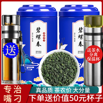 Send water Cup 2021 new tea Mingqen Biluochun green tea Super Alpine fragrant tea bulk canned 500g