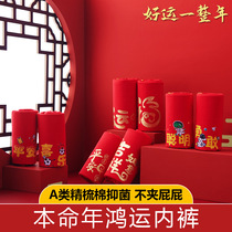 Chinese New Years Day 2023 Rabbit Chinese Red Boys Underpants Cotton Boxer Cotton Square Baby Shorts Children