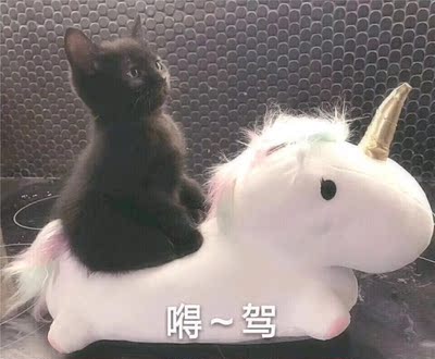 当大家看到我的这一篇评价时，表示我对产品是认可的，尽管我此刻的评论是复制黏贴的。这一方面是为了肯定商家的服务，另一方面是为了节省自己的时间，因为差评我会直接说为什么的。所以大家就当作是产品质量合格的意思来看就行了。最后祝店家越做越好，大家幸福平安，中华民族繁荣昌盛 ​！