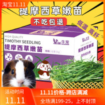 2021 Niu pet fine drying Timothy grass tender seedlings gross weight 1kg whole leaf Nanti guinea pig rabbit grass grain