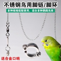 Parrot Anklet Stand stand Live ring Walking bird chain ring Bird with flying light Starling Starling bird Oriole Ultra-light crow