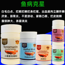Gentamicin fish with oxytetracycline fish aquarium koi medicine sterilization goldfish white spot net universal disease treatment fish medicine
