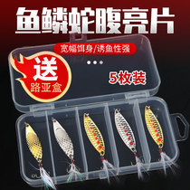 Spot belly metal sequins bionic fish scales Luya bait feathers three Ben Hook macuo leifa full water perch