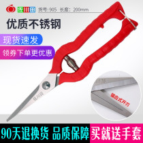 Sagawada 905 fruit picker Fruit picker fruit picker grape cuterstainless steel pruning shears Flower arrangement shears