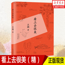 Genuine spot looks beautiful Wang Shuo's collection of works to his daughter's book I am your father Love novels are urban Emotional novels Chinese classic literary novels